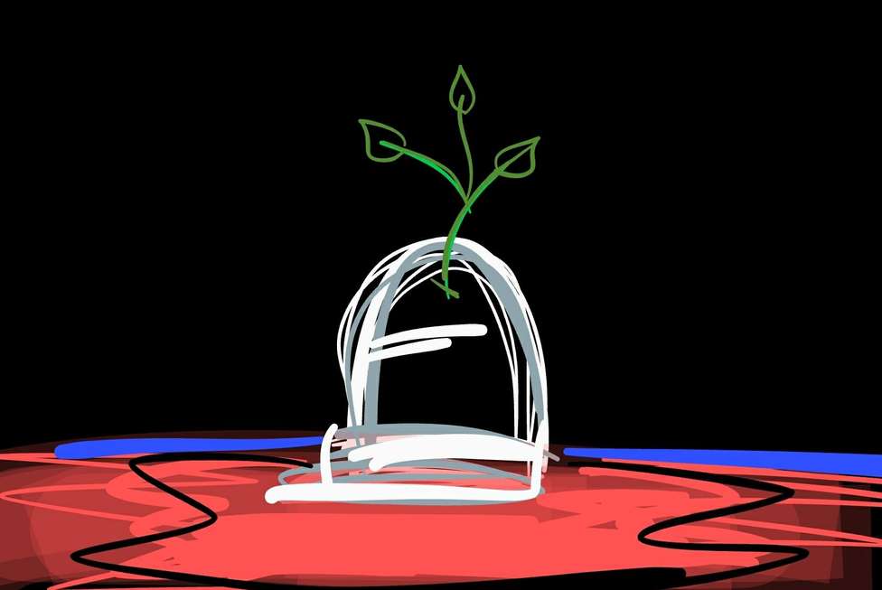 O País que eu quero