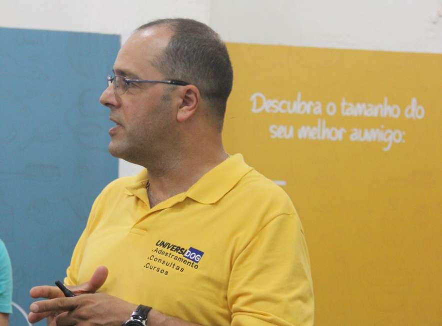 Diversão para cães e gatos