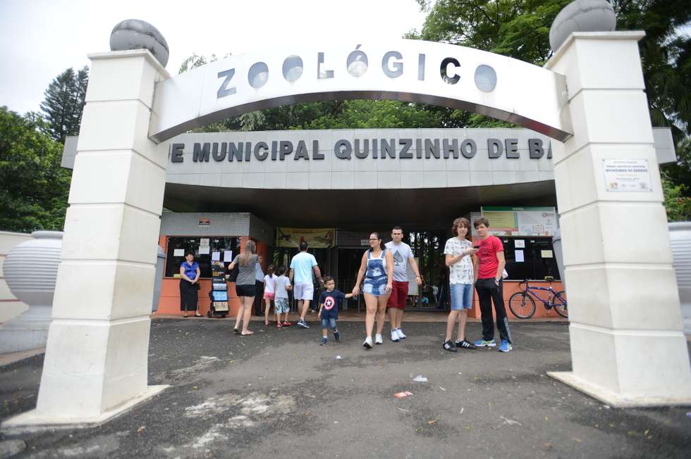 Votação escolhe nome de onça-pintada do zoo