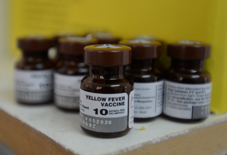 febre amarela