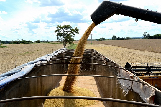 Governo precisa voltar seu foco para a agroindústria