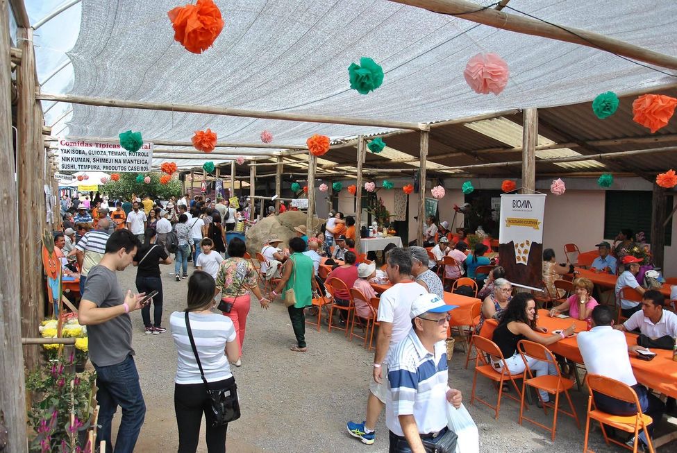 Caqui vira atração turística em Piedade