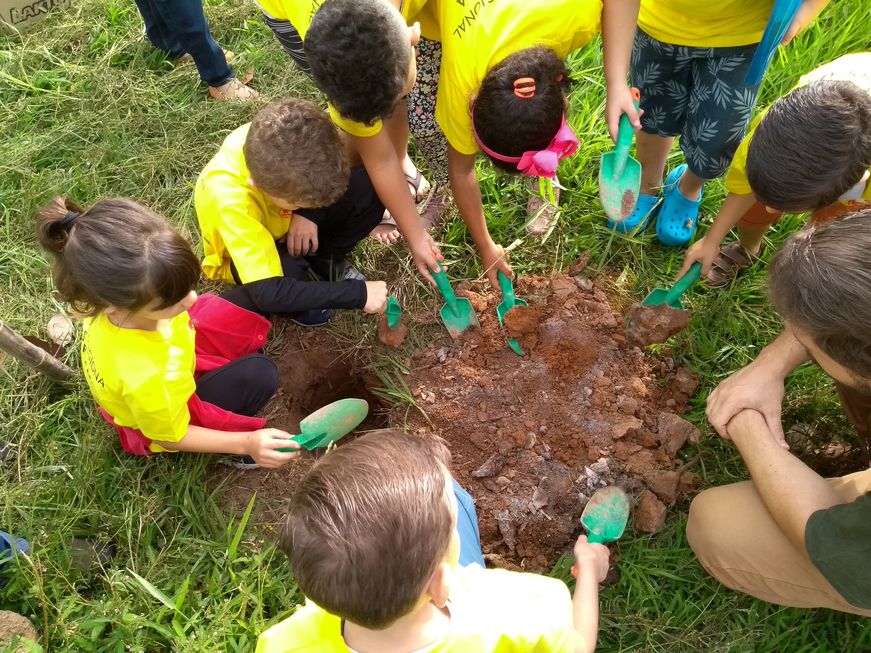 Crianças dão exemplo plantando árvores