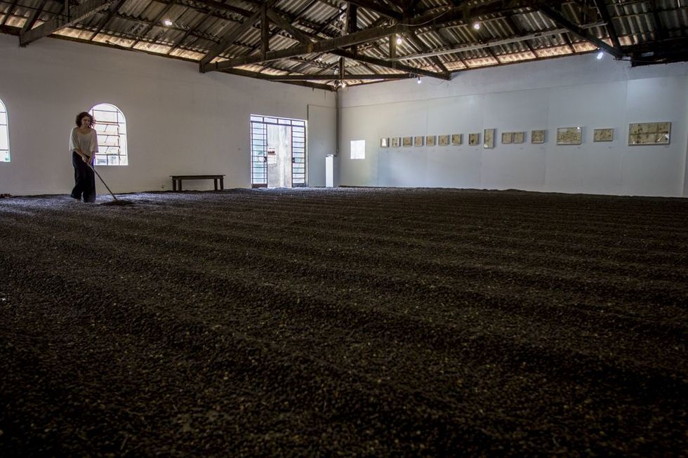 Exposição ‘Campoamor’ retrata o café em experiências e memórias