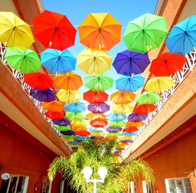 Presença: ‘Céu de guarda-chuvas’