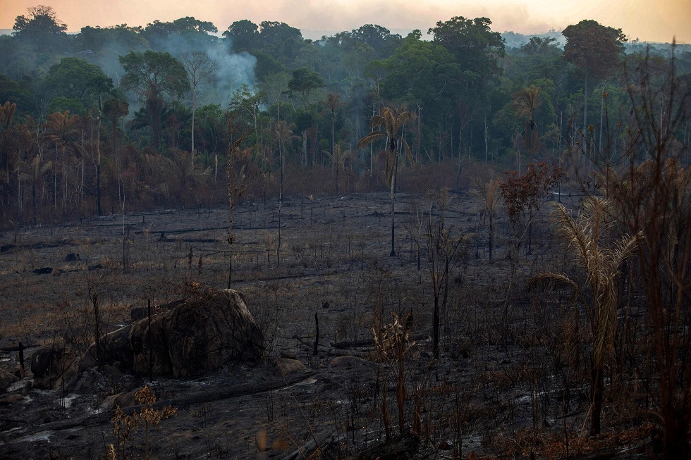 Vista de uma área queimada na floresta amazônica.