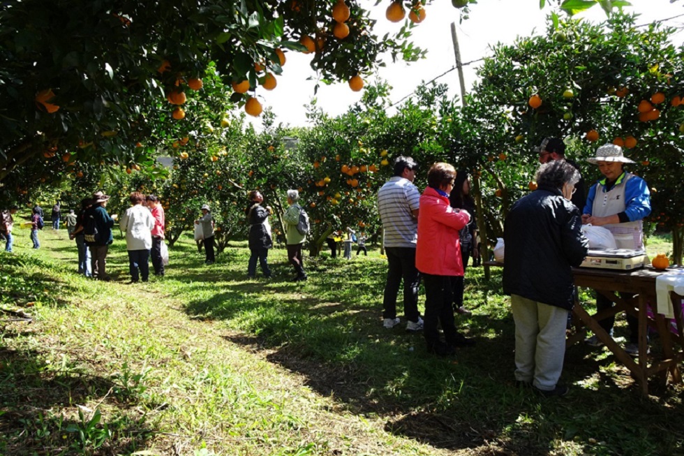 Miguel Arcanjo visita cinco plantações de frutas típicas e uma estufa de olerícolas