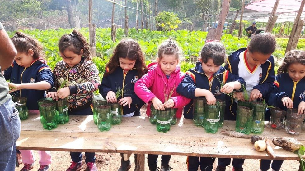 Crianças criam suas próprias hortas