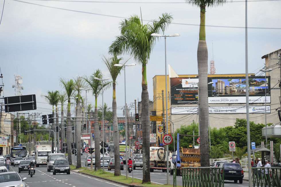 Obras do BRT impactam arborização de vias