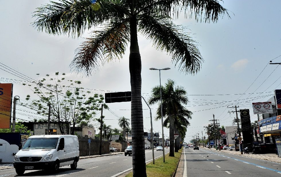 Obras do BRT impactam arborização de vias em Sorocaba