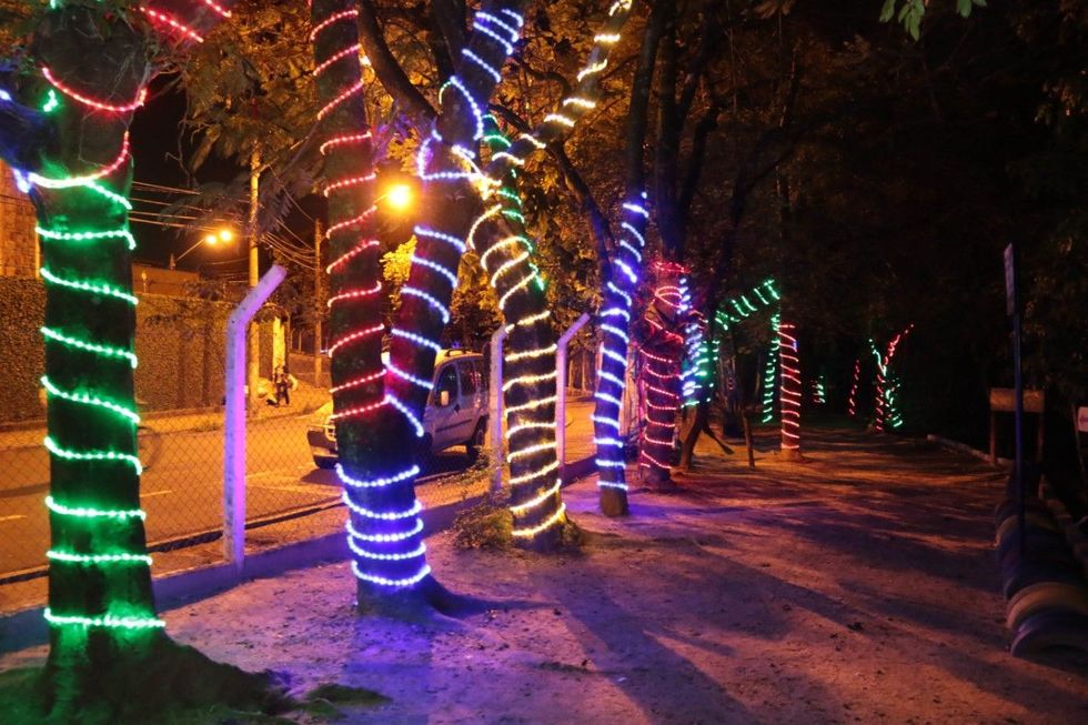 Parque do Matão recebe decoração de Natal