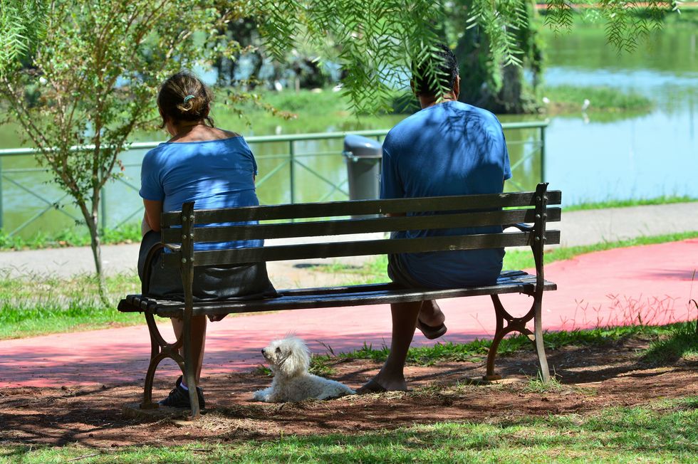 Uma tarde no parque 