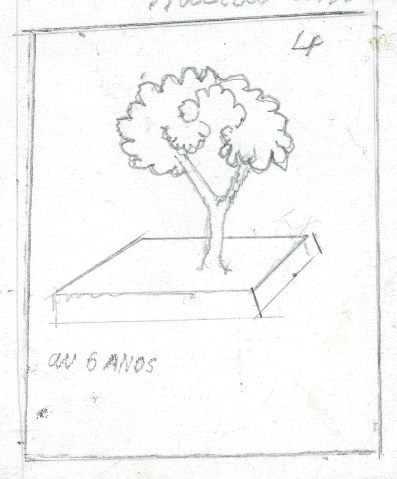 Desenho de Flores para Pintar - Educamais