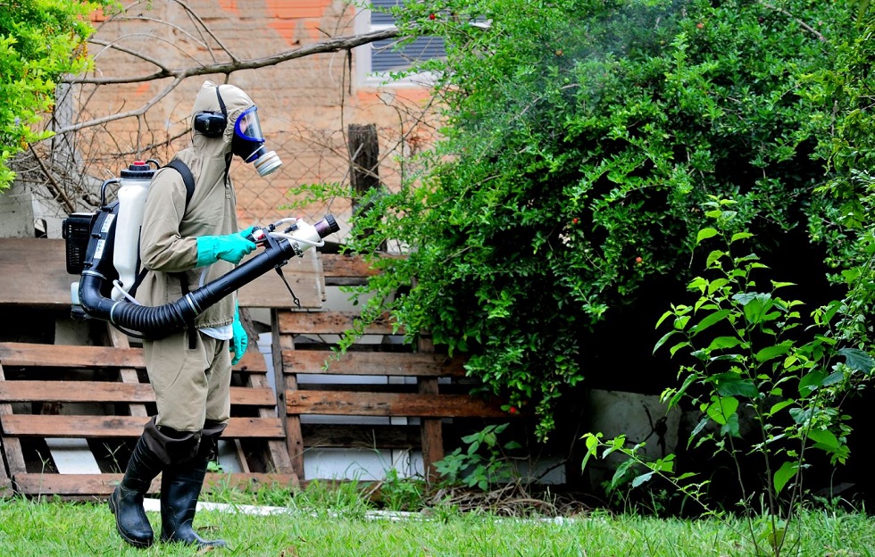 Casos de dengue em Iperó aumentam 64% em uma semana