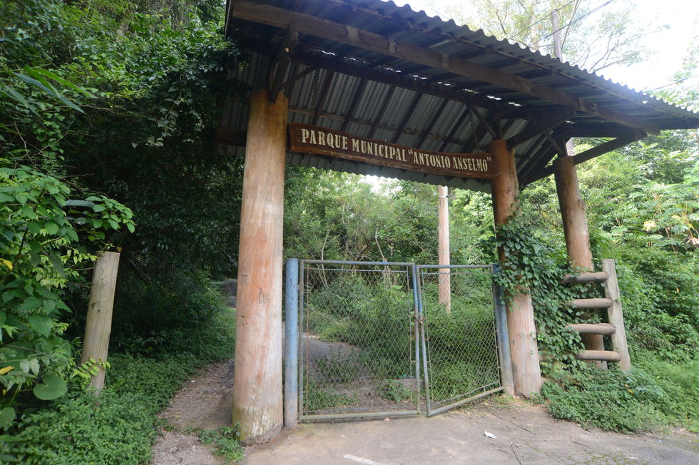 Horto Florestal de Mairinque sofre com abandono