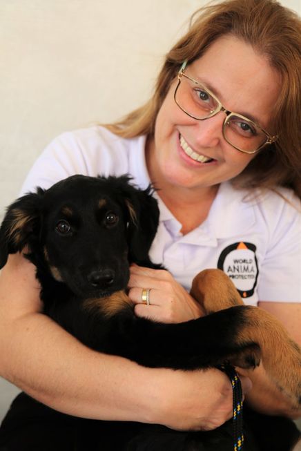 Prefeitura vai cadastrar pessoas e entidades ligadas à causa animal