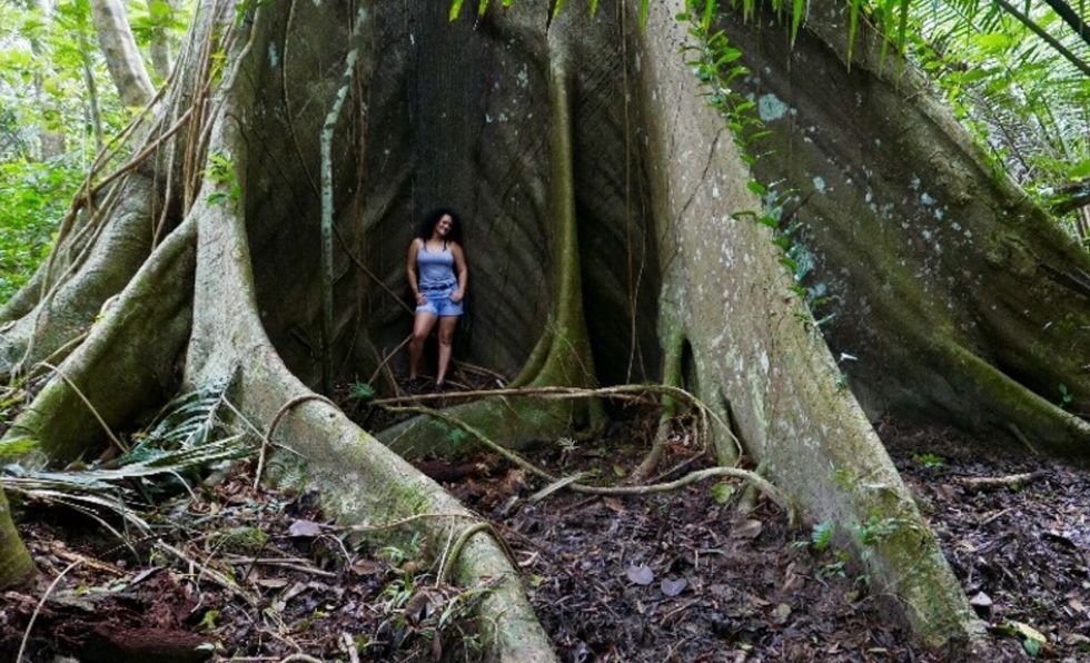 Explore rios e florestas da Amazônia sem sair do sofá