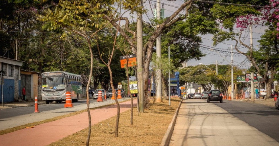 Plantio de árvores é iniciado ao longo da avenida Itavuvu