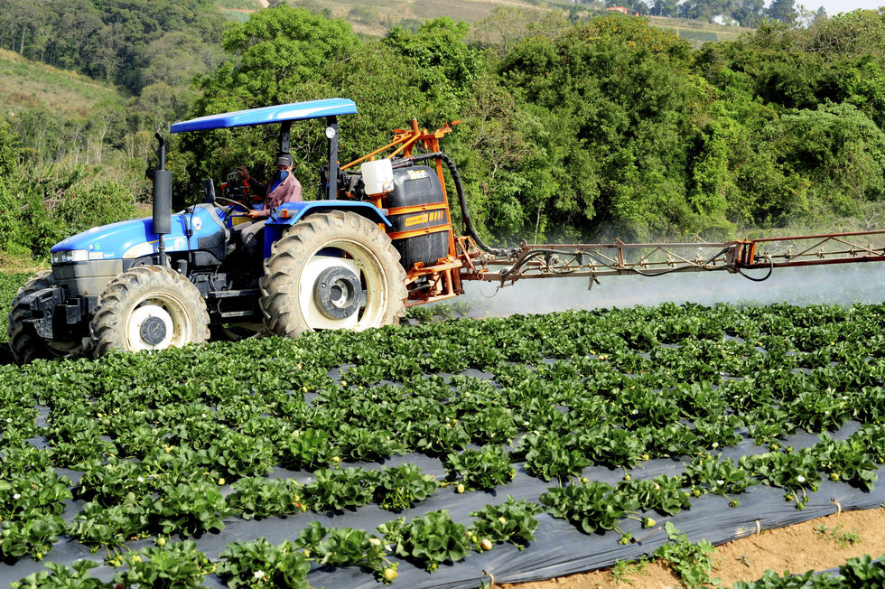Valor de produção em agropecuária deve ser de R$ 771 bilhões