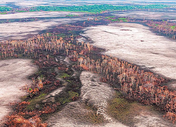 Floresta perdeu 9.205 km2 em 12 meses. Crédito da foto: Vinícius Mendonça / Arquivo Ibama