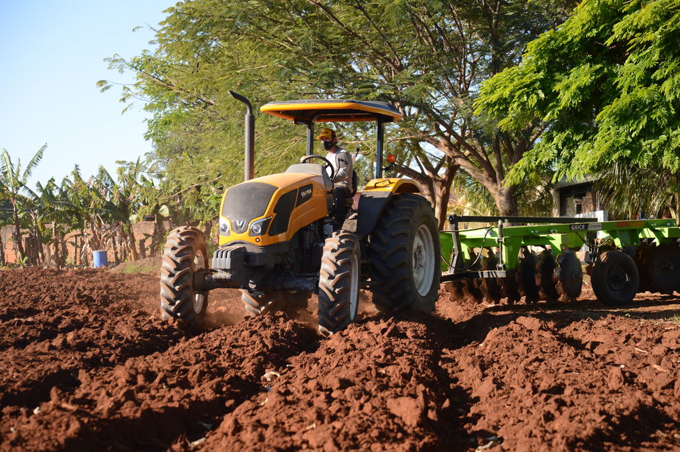 Produção rural assiste à mudança de gerações