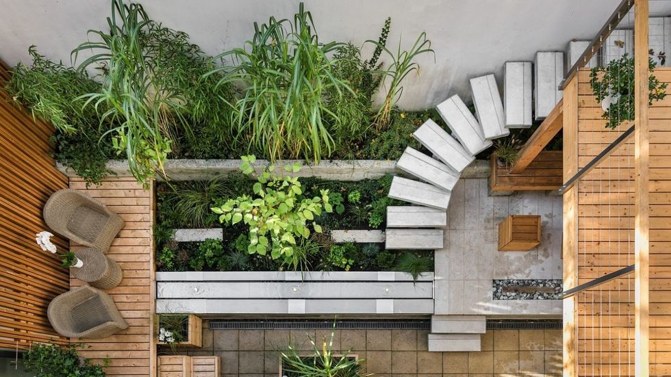 Urban Jungle: Vivendo com Plantinhas Dentro de Casa