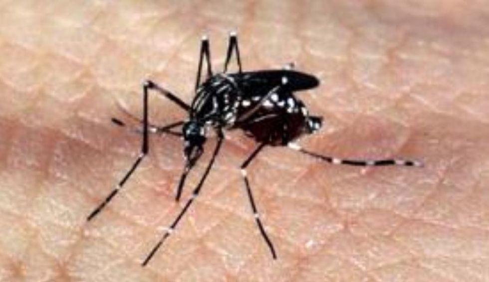 Casos de dengue aumentam 500% em Iperó