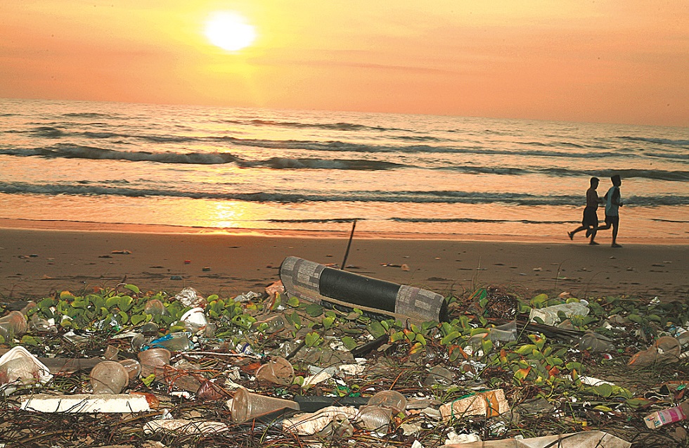 Prejuízo para o meio ambiente é incalculável. Crédito da foto: Pixabay.com