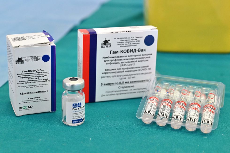 No mês passado, a Anvisa negou o pedido de dez Estados brasileiros para a importação da vacina russa